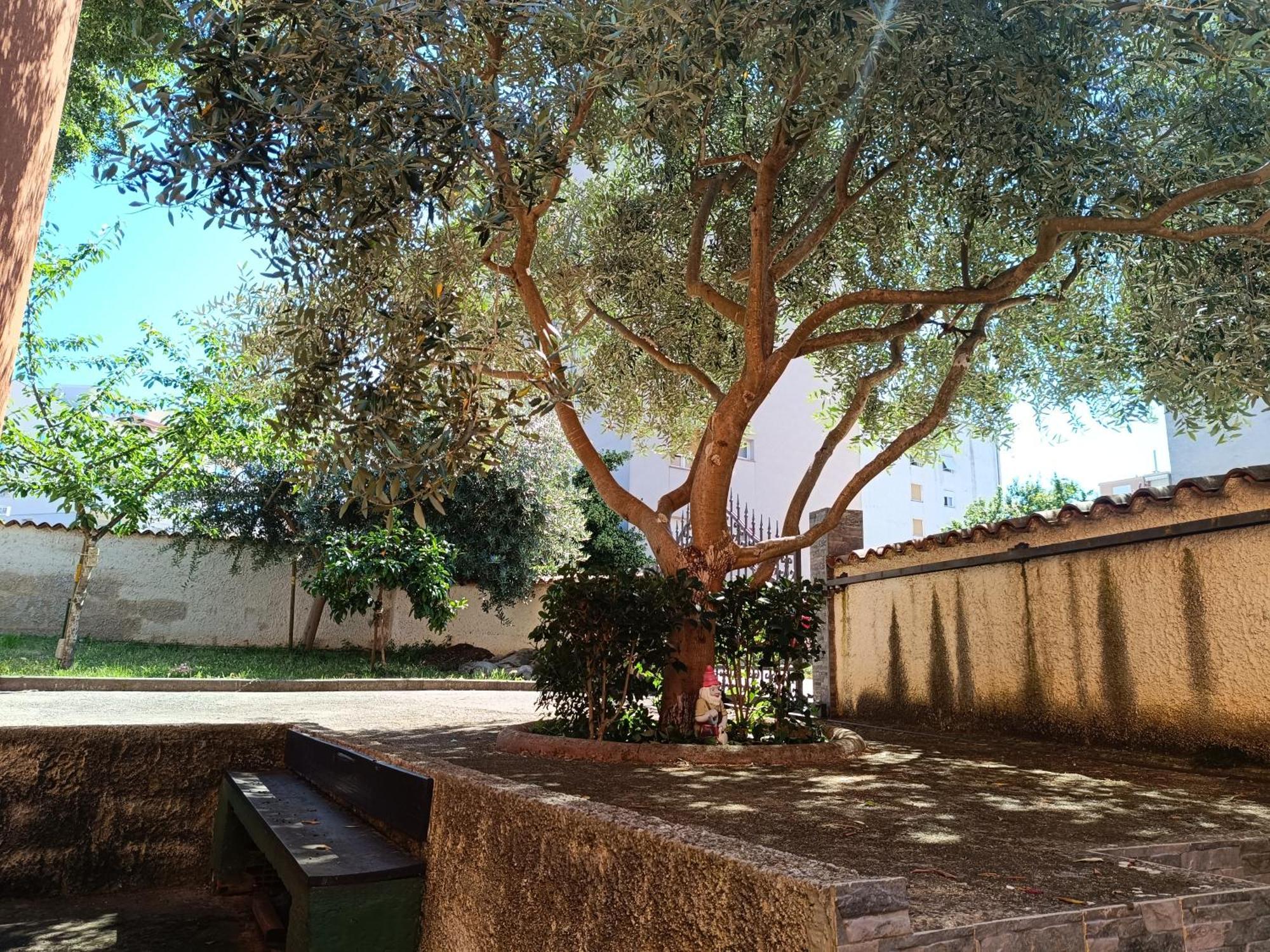 Villa Helena بولا المظهر الخارجي الصورة